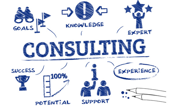 Consulting for Website and Business Needs